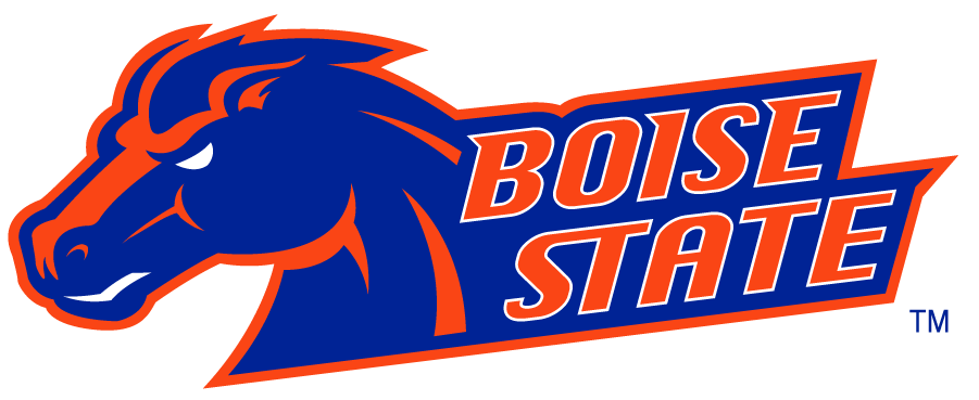 Boise State Broncos 2002-2012 Secondary Logo v7 DIY iron on transfer (heat transfer)